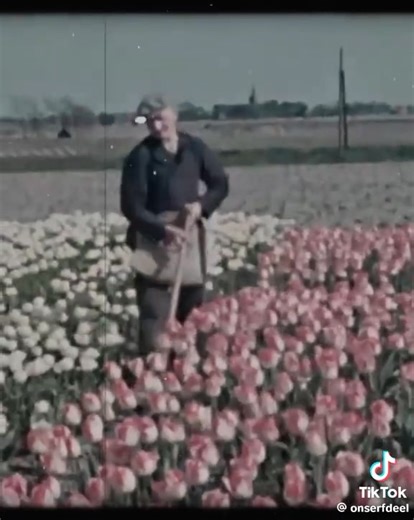 Addie Wolters on Reels