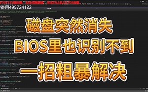 数据磁盘突然消失BIOS里也没有粗暴解决方法