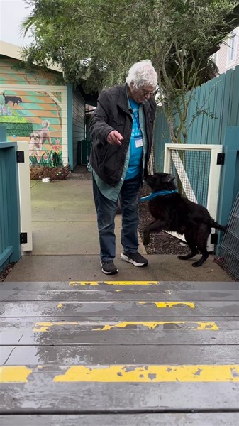 541 reactions · 52 shares | Who is ready for Lab love and energy!?...