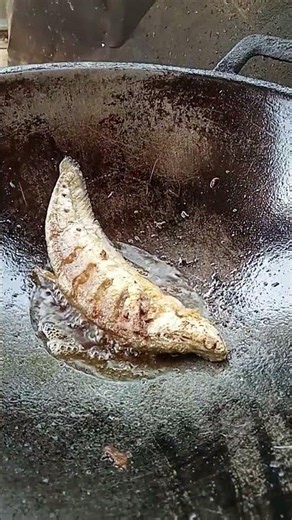 #ทอดปลากรายไซ้ปลากระดี่ #fish #fishing