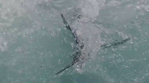 12K views · 324 reactions | Marlin's Bluewater Chronicles video series covered the Seychelles in 2017. Next up: El Salvador. Here's a preview of what's to come. | Marlin Magazine | Facebook