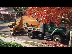 Mt Lebanon Leaf Collection Pt.4- International Leaf Vacuum
