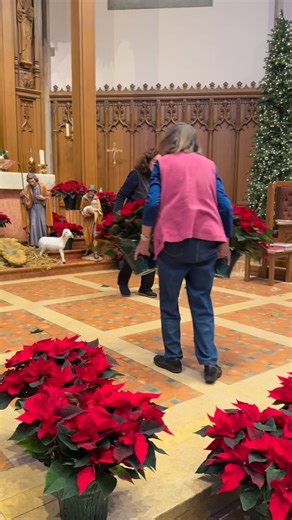 Nativity Women work behind the scenes quietly throughout the year keeping the altar looking beautiful throughout the seasons. Today they were getting the altar ready for Christmas with such great love and care. Did you know the 60 poinsettia plants need to be watered every other day? Thank you Laurie Murphy, Mary Fiedler, and Louise Roth for all you do behind the scenes. And thanks to Louise’s sisters who came to help. | Nativity Council of Catholic Women