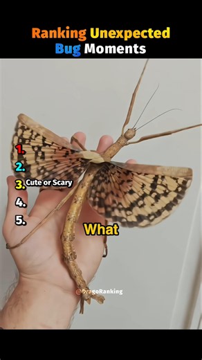 Ranking UNEXPECTED Bug Moments 🤣💀 #ranking #unexpected #bug #funny