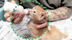 34K views · 2.3K reactions | 5 Things You Need to Know About...