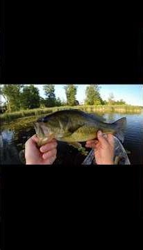 Video credits go to:@ndyakangler #kayakfishingtips #fish #tips #tutorial #realatable