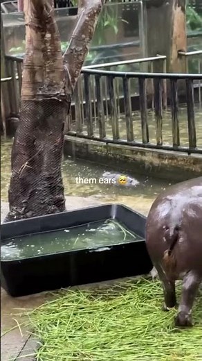 exploring the world together