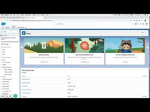 Salesforce: Customer & Account Segmentation as well as New Business vs. Existing Business