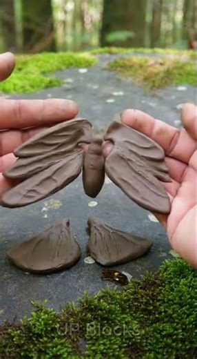 The stone is about to fly | butterfly