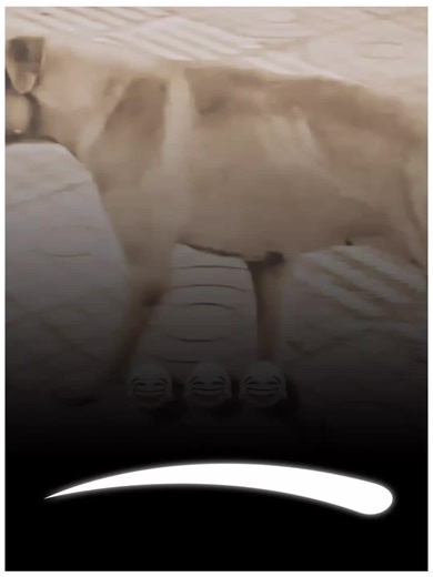 How to Make Your Video Go Viral Using Duets