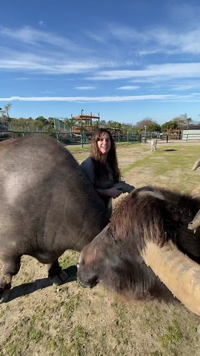 Jay Prehistoric Pets: Family Secrets Revealed!