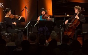 海顿《降B大调弦乐三重奏嬉游曲》|Haydn Divertimento for String Trio in B flat major Hob.V:8