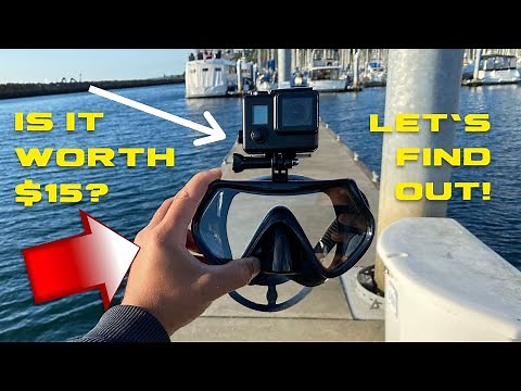 WACOOL Scuba & Snorkel Mask w/ Gopro Mount - Dive Review, Test, Tips, & Footage, Octomask Comparison