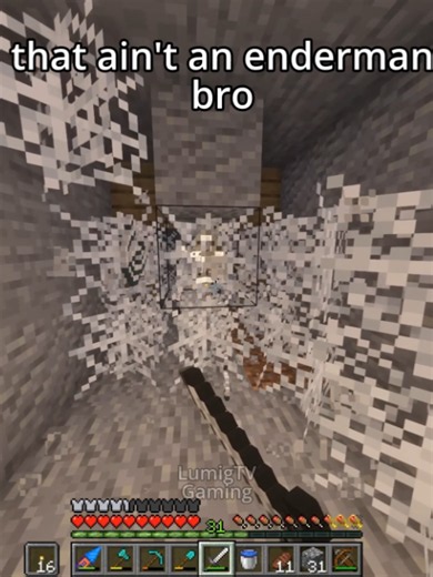 That Is Not an Enderman: Minecraft Memes & Builds