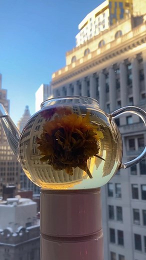 We elegant, beautiful, and strong 🌸💕 #Manifestation #floweringtea #bloomingtea #greentea