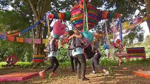 501K views · 119 reactions | Regresa el reality show que pone a prueba a las parejas y que demuestra que en la guerra y en el amor solo se gana apostando. ¡No te pierdas la nueva temporada de #Inseparables! Gran estreno este 20 de septiembre a las 8:00 p. m. MEX por Canal 5 | Canal 5 | Facebook