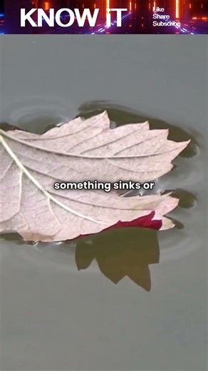 Why do some Rocks Float on Water?