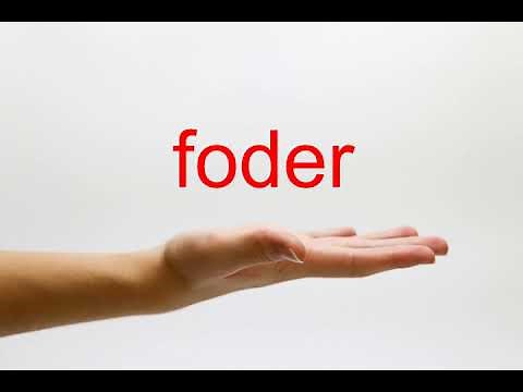 How to Pronounce foder - American English
