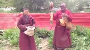 74K views · 717 reactions | Chod practice in Golok, Eastern Tibet. | Ling Lhamo's Channel | Facebook
