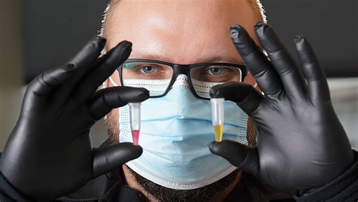 Pen-side test for bovine respiratory disease may save cattle industry millions, reduce antibiotic use