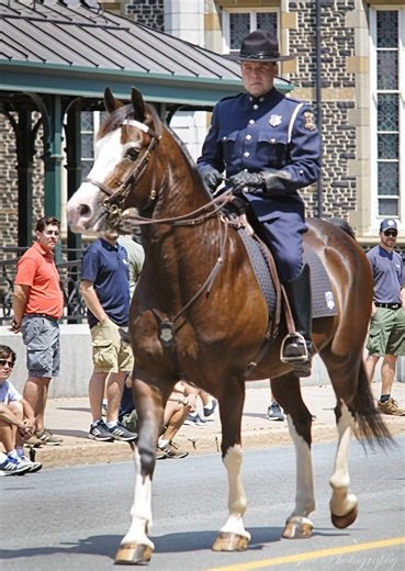 From Vancouver to Halifax, police horses have a way of capturing attention like nothing else. Their powerful presence and calm confidence draw crowds wherever they go, instantly becoming a focal point of admiration and respect. Whether appearing at festivals and special events, leading parades, accompanying visiting dignitaries, or maintaining order during crowd control, these remarkable horses and their dedicated officers represent a unique bond of trust, training, and teamwork. More than just 