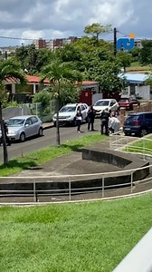 Les violences explosent en Martinique en cette fin du mois d’août. Depuis le début de l’année, 18 meurtres ont été commis, dont 11 par arme à feu. Une marche blanche est organisée à Fort-de-France, ce samedi après-midi. Images et ITV @Laurence Lucio, Rodolphe Lamy et Matteo Pasteau. Plus d’infos sur www.rci.fm | RCI Martinique