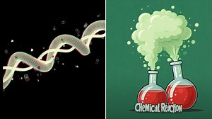 Entertaining Videos That Teach the Basics of Biology and Chemistry and in Just 22 Minutes