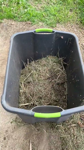 Don’t Toss That Grass Buildup 🌿