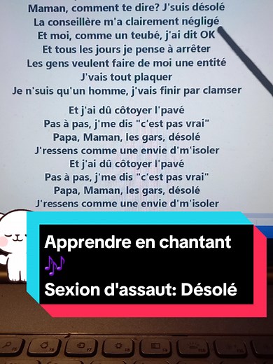 #apprendrelefrançais #sexiondassaut #desole #lyrics_songs #karaoke