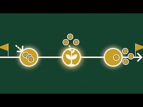 Roth IRA vs 401(k): The Beginner's Guide to Retirement Accounts