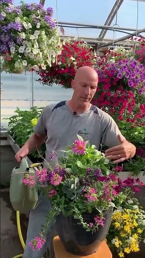 What if You Get Water on the Leaves or Foliage?
