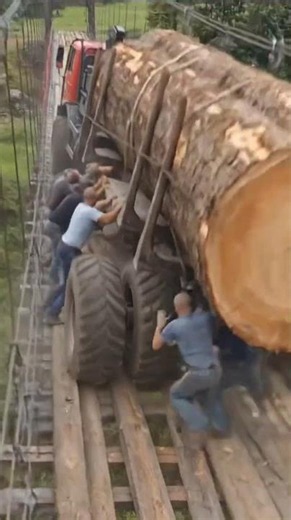 Giant Log Crossing a Suspended Bridge #truck #offroad #shorts