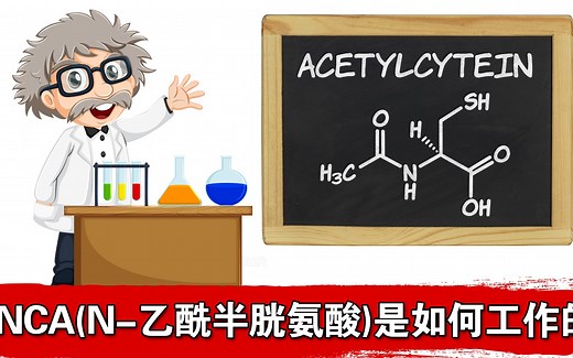 NCA(N-乙酰半胱氨酸)在体内是如何工作的？