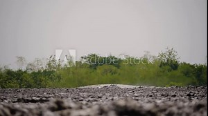 mud volcano with bursting bubble bledug kuwu. volcanic plateau with geothermal activity and geysers, slow motion Indonesia java. volcanic landscape