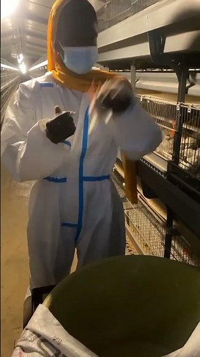 JAMBAAR DU JOUR : Astou Dieng, l'excellence au service de l'aviculture moderne​