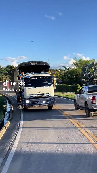 Camiones Chevrolet FVR: Una mirada al gremio