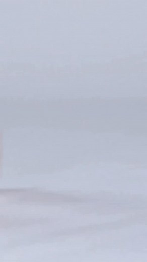 11K views · 9.6K reactions | Our StreamPointe shoe is everyone’s...