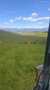 Forget the Cabbage Patch and Storks for baby delivery, Hozza in the CanAm is the new delivery service 😉 #shepherdess #calfdelivery #nzfarming | Kiwi Country Girl - Holly