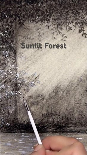 Pencil drawing of simple landscape in a forest| Sunlight through trees on lake surface during spring