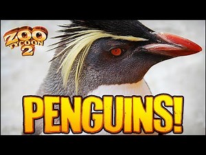 Zoo Tycoon 2: The Aquarium | ROCKHOPPER PENGUIN EXHIBIT (Aquarium Part 3)