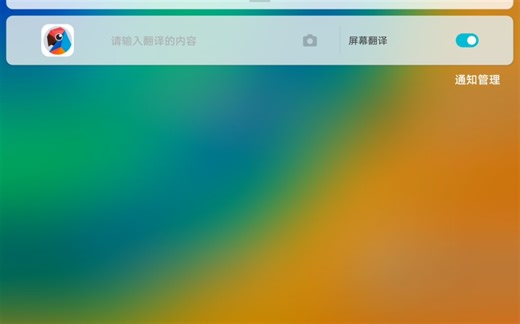 如何开启有道翻译的屏幕翻译