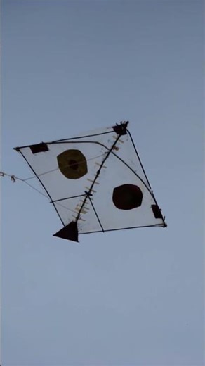 बड़ी पतंग जोर से नीचे गिरी | The large kite fell down with a loud crash.