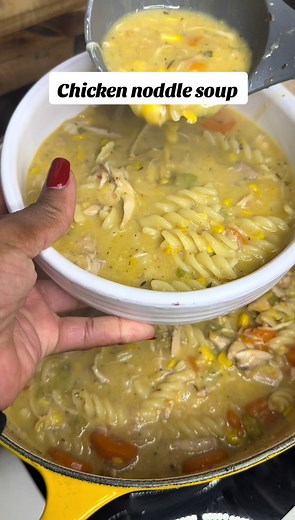 South African Chicken Noodle Soup Recipe