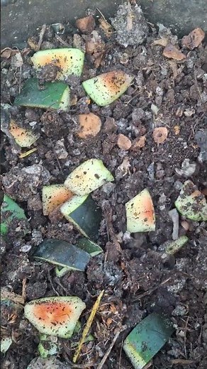 Home composting