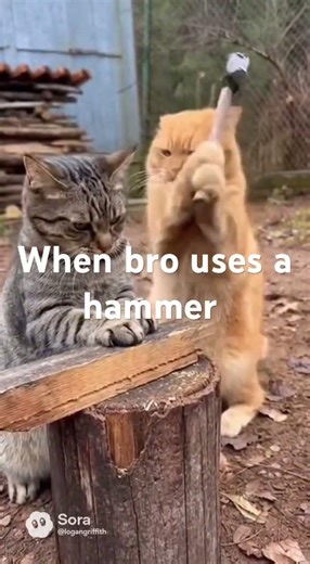 When bro uses a hammer