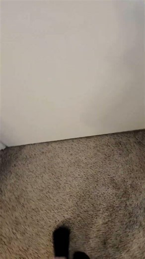 walking on the ceiling trend