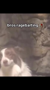 1.5M views · 53K reactions | World Meme Database on Reels | Facebook