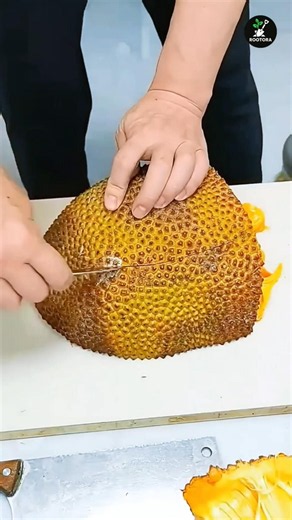WHAT'S HIDDEN INSIDE? 🤯 Why Do They Slice It Like This? 🌿 #shorts #gardening #farming #garden #asmr