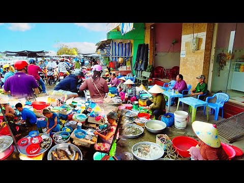 Mekong Delta Uncovered: Vietnam’s Most Authentic Travel Experience