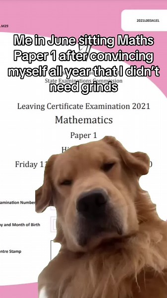 Join Roantree Maths Grinds for Higher Level Success